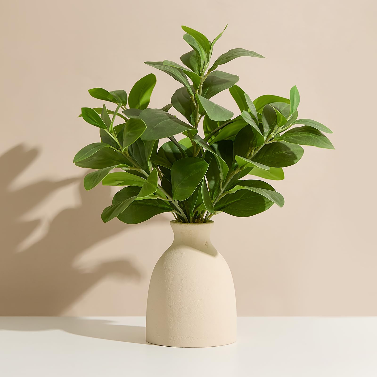 Amore Florals front view of 16 inch eucalyptus potted plant, adds instant greenery
