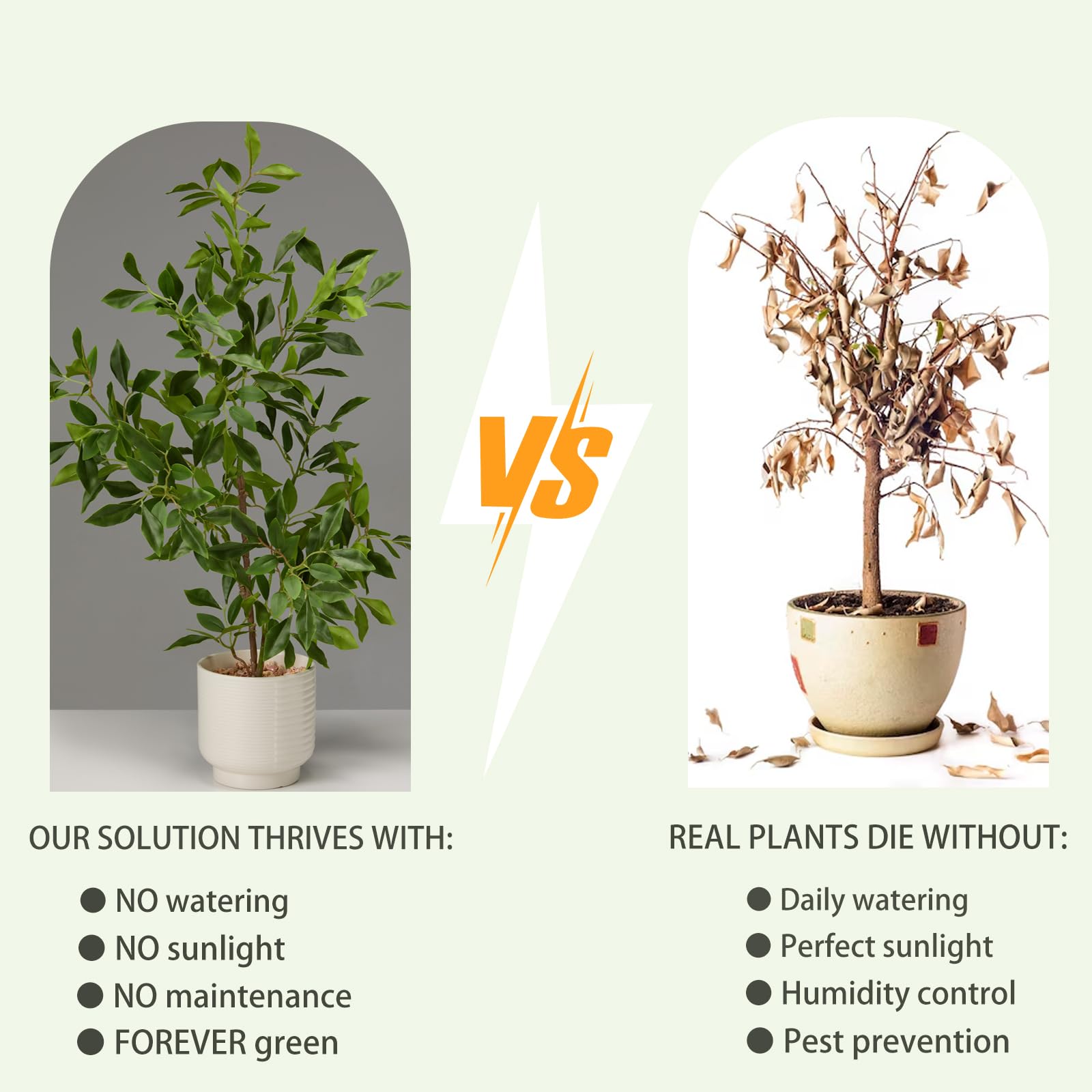 Amore Florals ficus with size comparison next to furniture to show 27 inch scale
