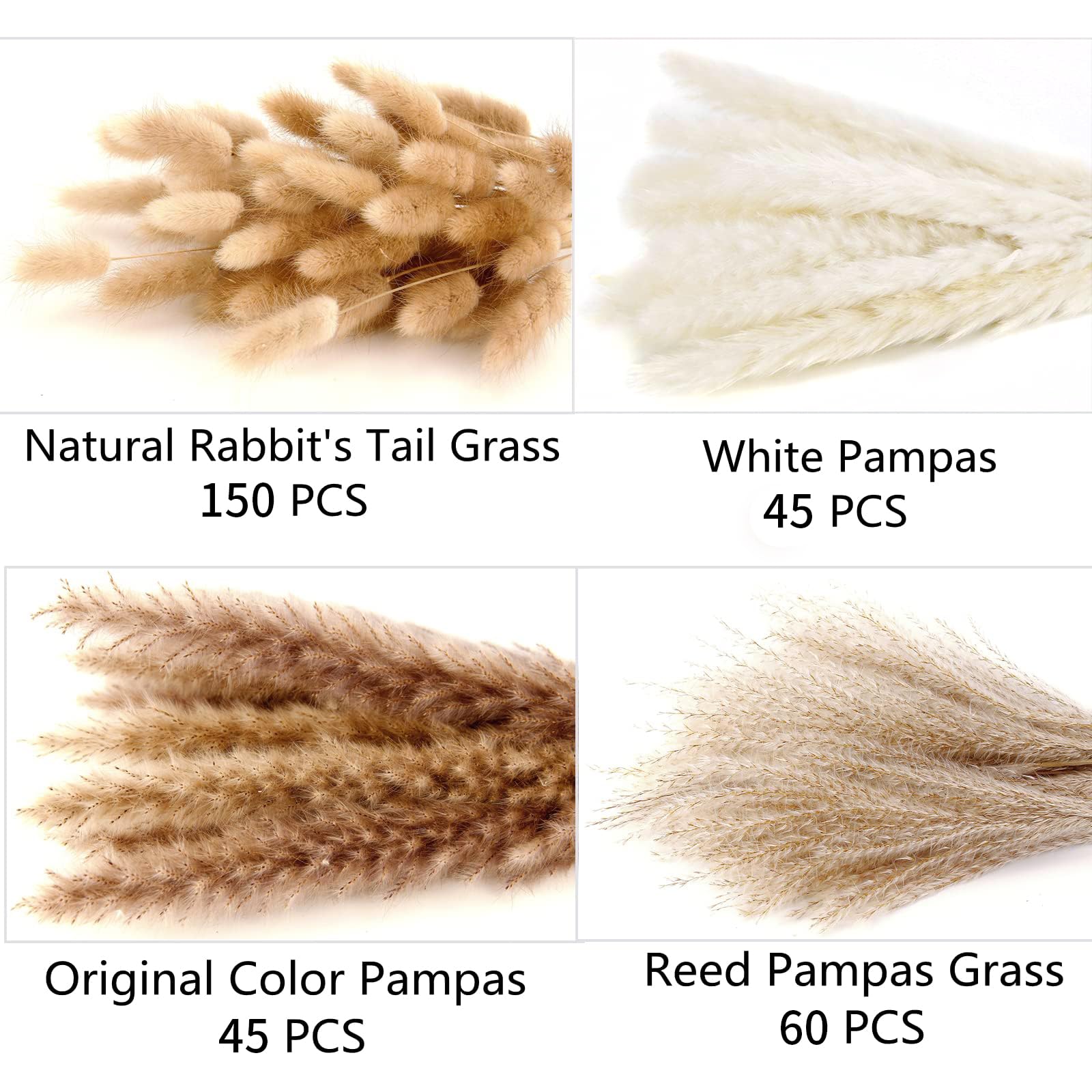 ANPROOR close-up of pampas grass texture highlighting softness and tactile appeal