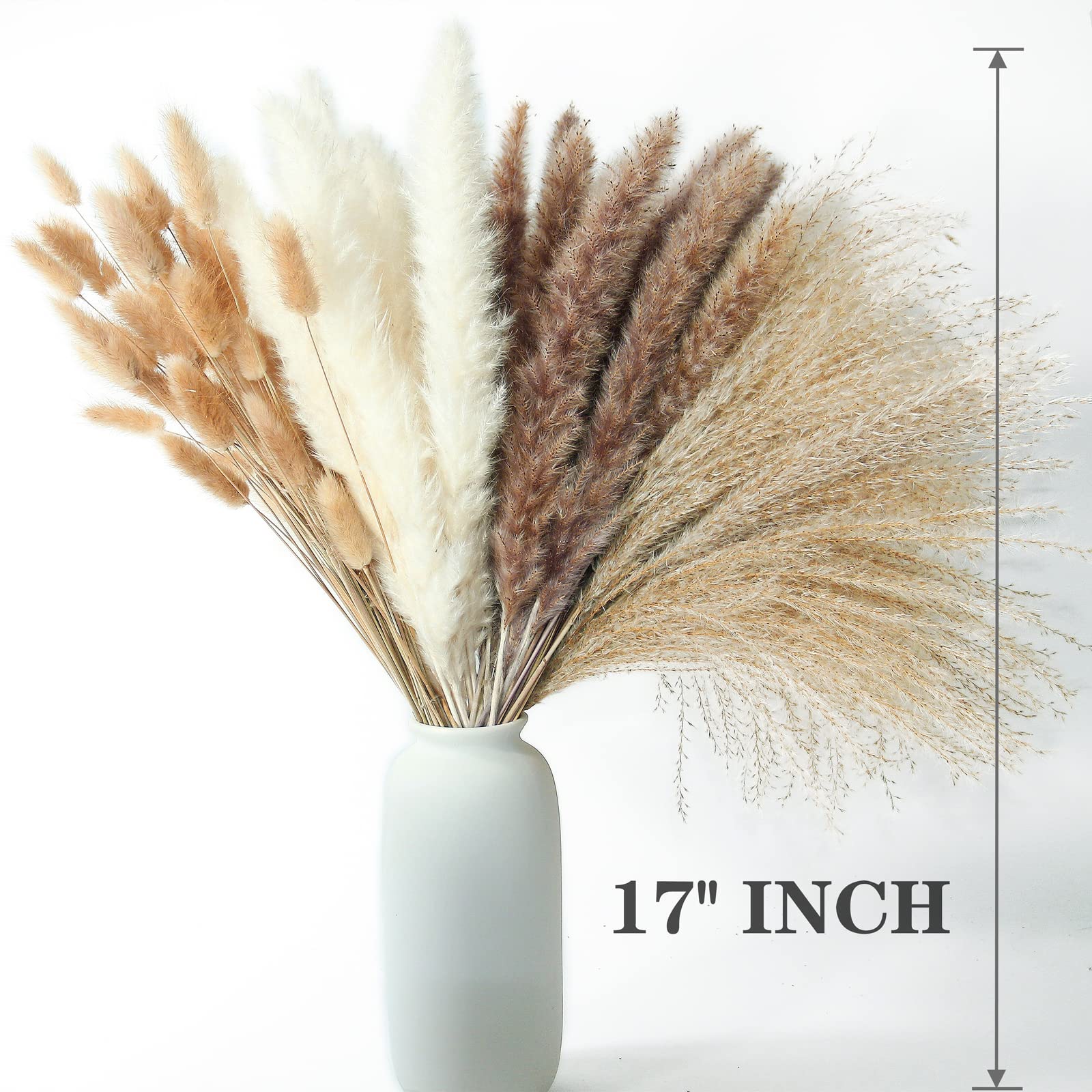 ANPROOR dried stems arranged in a vase in living room for easy decor refresh