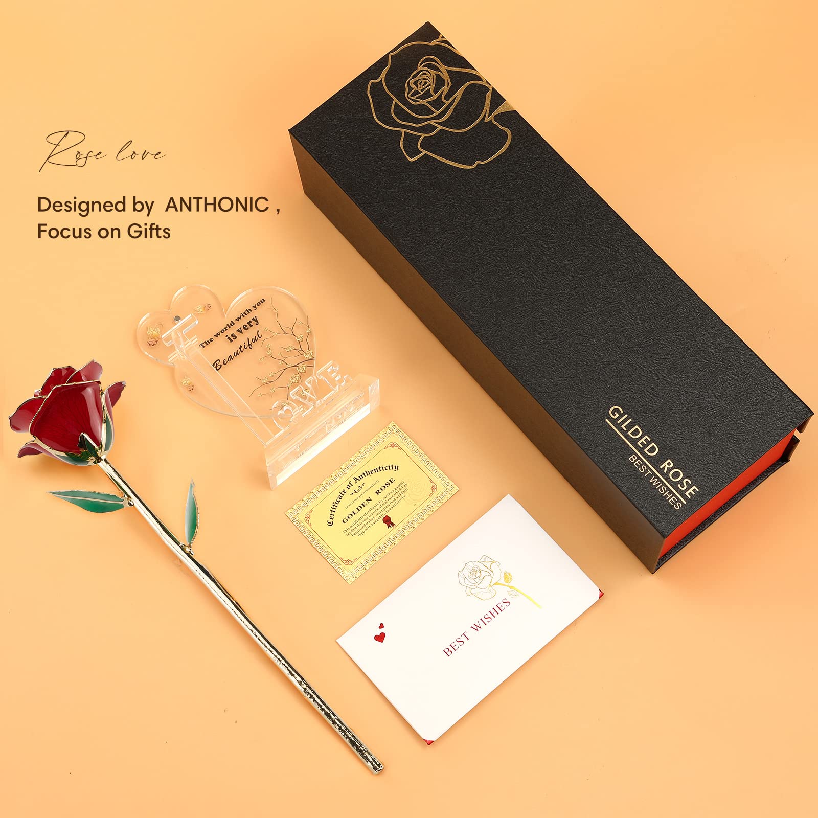 Anthonic open box showing protective padding and display holder inside