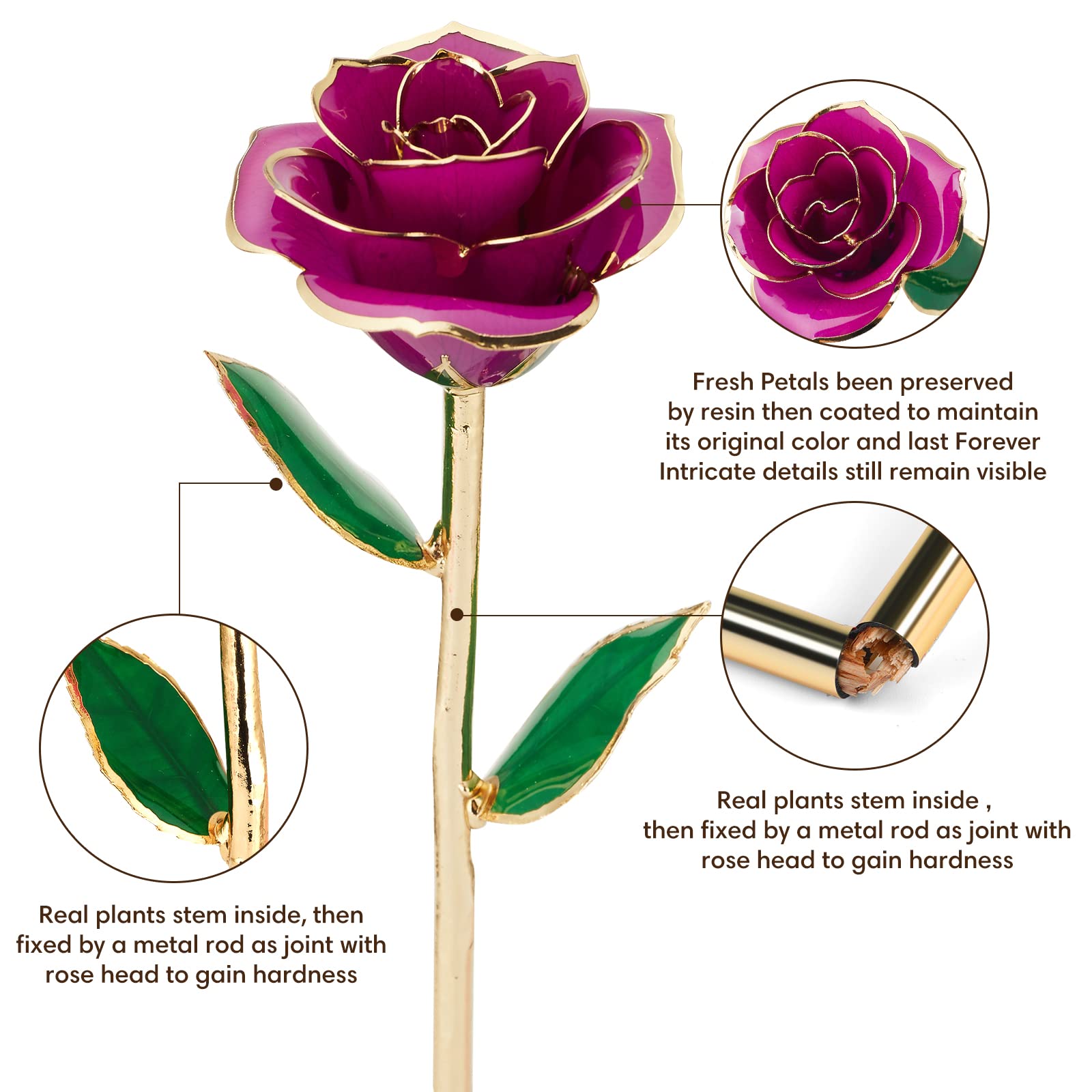 Anthonic 24k gold edge detail highlights luxury accent and lasting shine