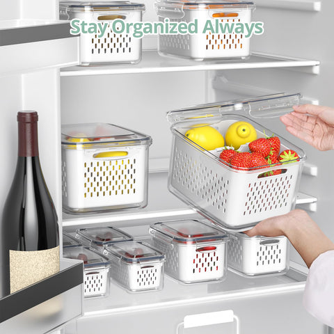 Anysig size comparison with fruits illustrating capacity and portioning