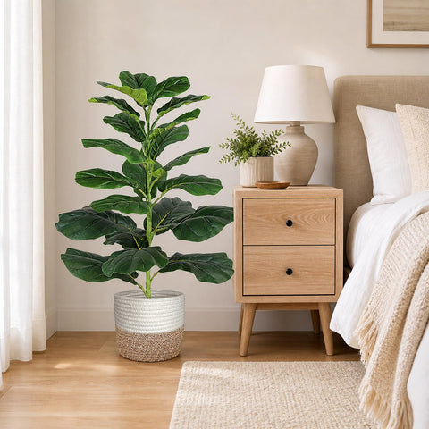 Aoxiwhcse removable cotton rope basket around pot for stylish presentation