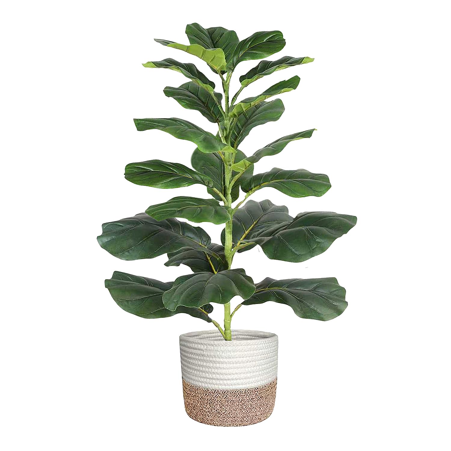 Aoxiwhcse front view showing lifelike 30-inch fiddle leaf fig, adds instant greenery