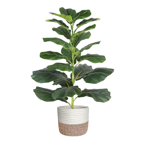Aoxiwhcse front view showing lifelike 30-inch fiddle leaf fig, adds instant greenery