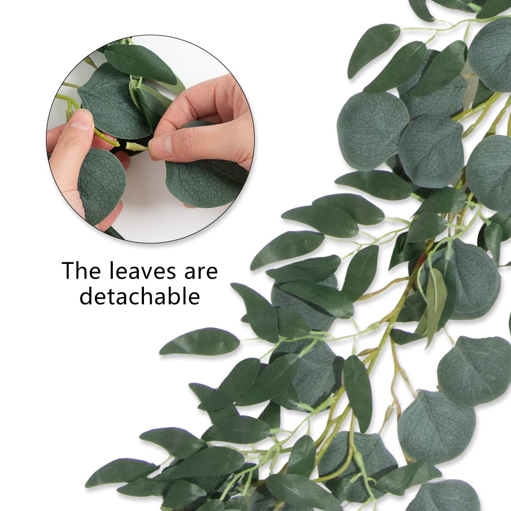 Apeair vine next to hand showing 6.5ft length and easy-to-use scale benefit