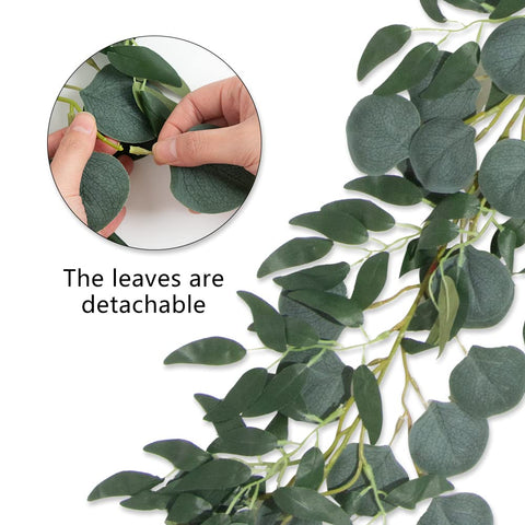 Apeair vine next to hand showing 6.5ft length and easy-to-use scale benefit
