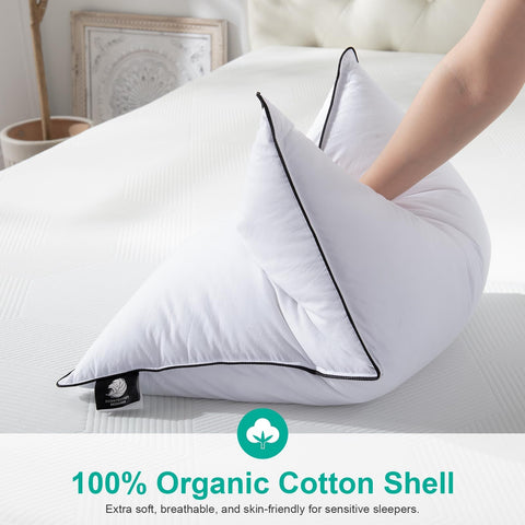 APSMILE feather core zoom, firm support and resilience