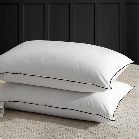 APSMILE front packaging showing two queen pillows and benefits