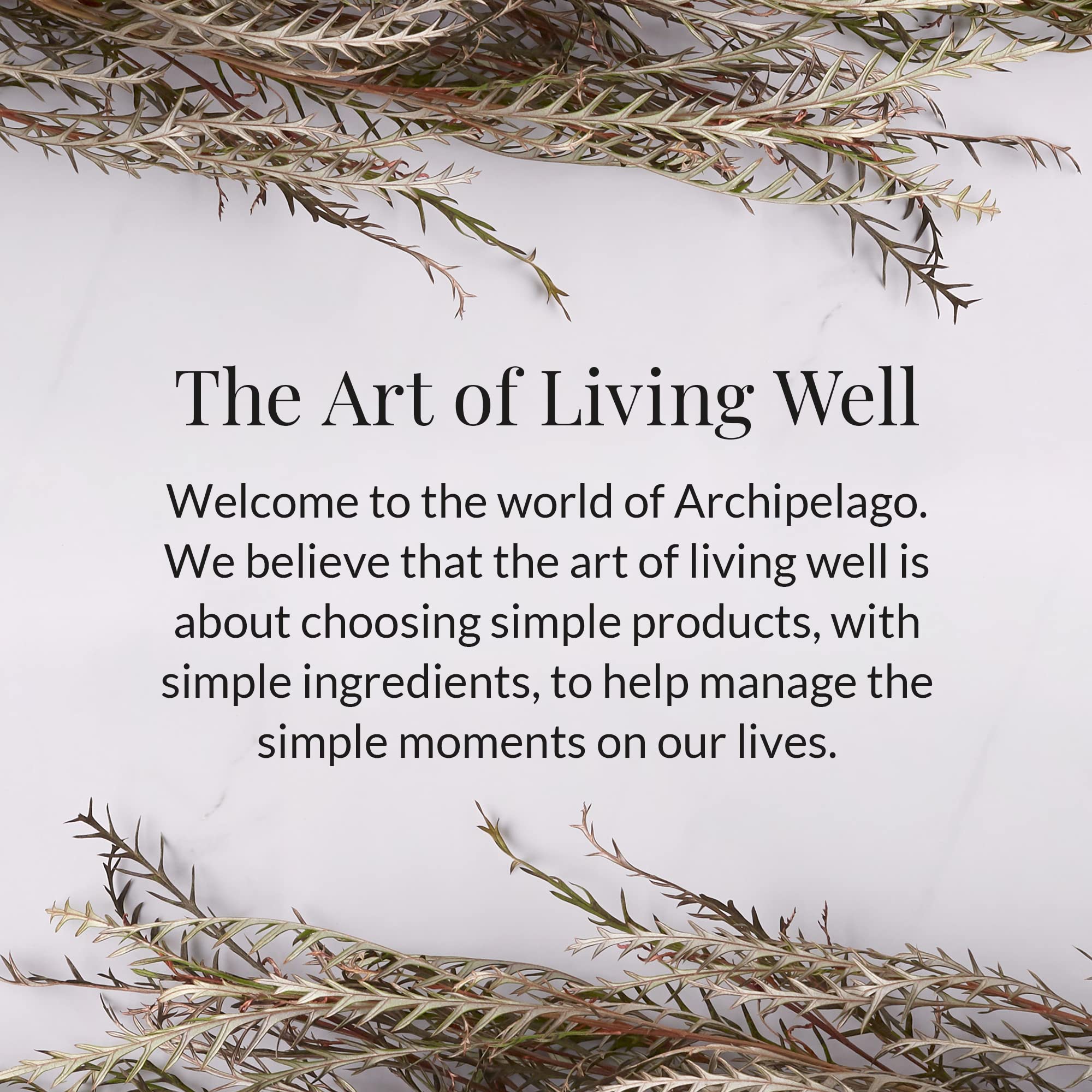 Archipelago Botanicals Havana label and wick close-up displaying lead-free wick benefit: cleaner burn