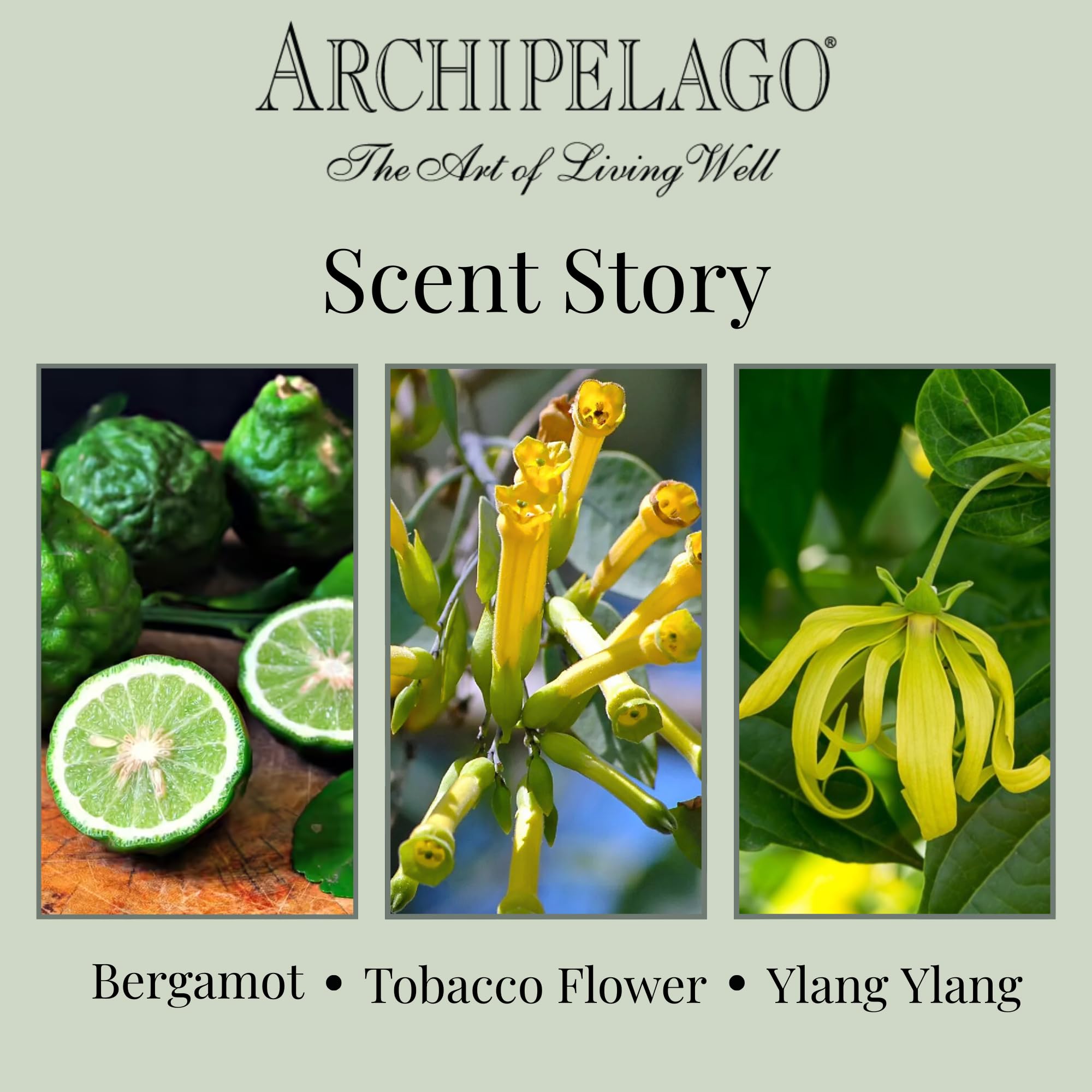 Archipelago Botanicals Havana scale next to book illustrating compact 8.6 oz size benefit: space-friendly