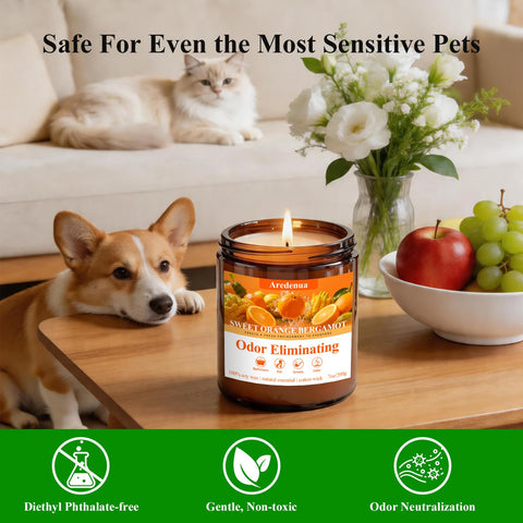 Aredenua in a living room setting demonstrating fresh, ambient fragrance