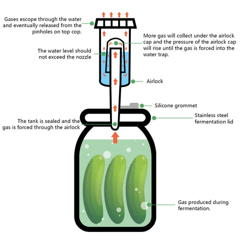 Artcome silicone tong lowering glass weight into jar preventing splashes and contamination
