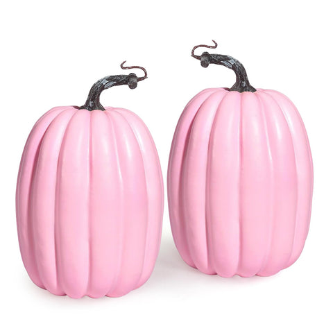 Artmag front view of two pink pumpkins showing shape and coordinated set benefit