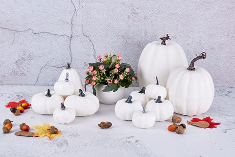 Artmag close-up foam texture of pumpkin surface highlighting smooth paint-ready finish