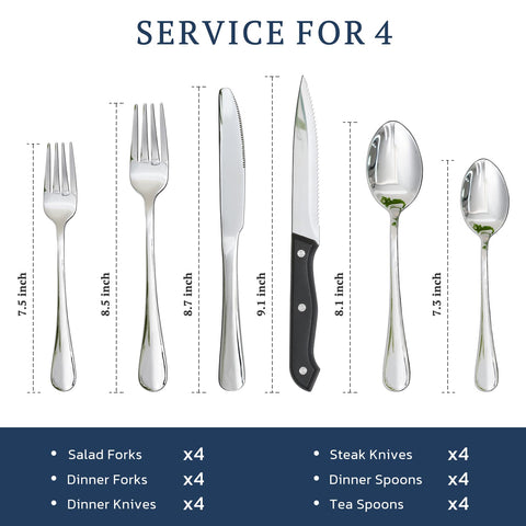 Astercook size scale comparison beside common objects to show proportions