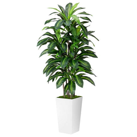 ASTIDY dracaena front view showing lifelike leaves and elegant white planter for instant decor