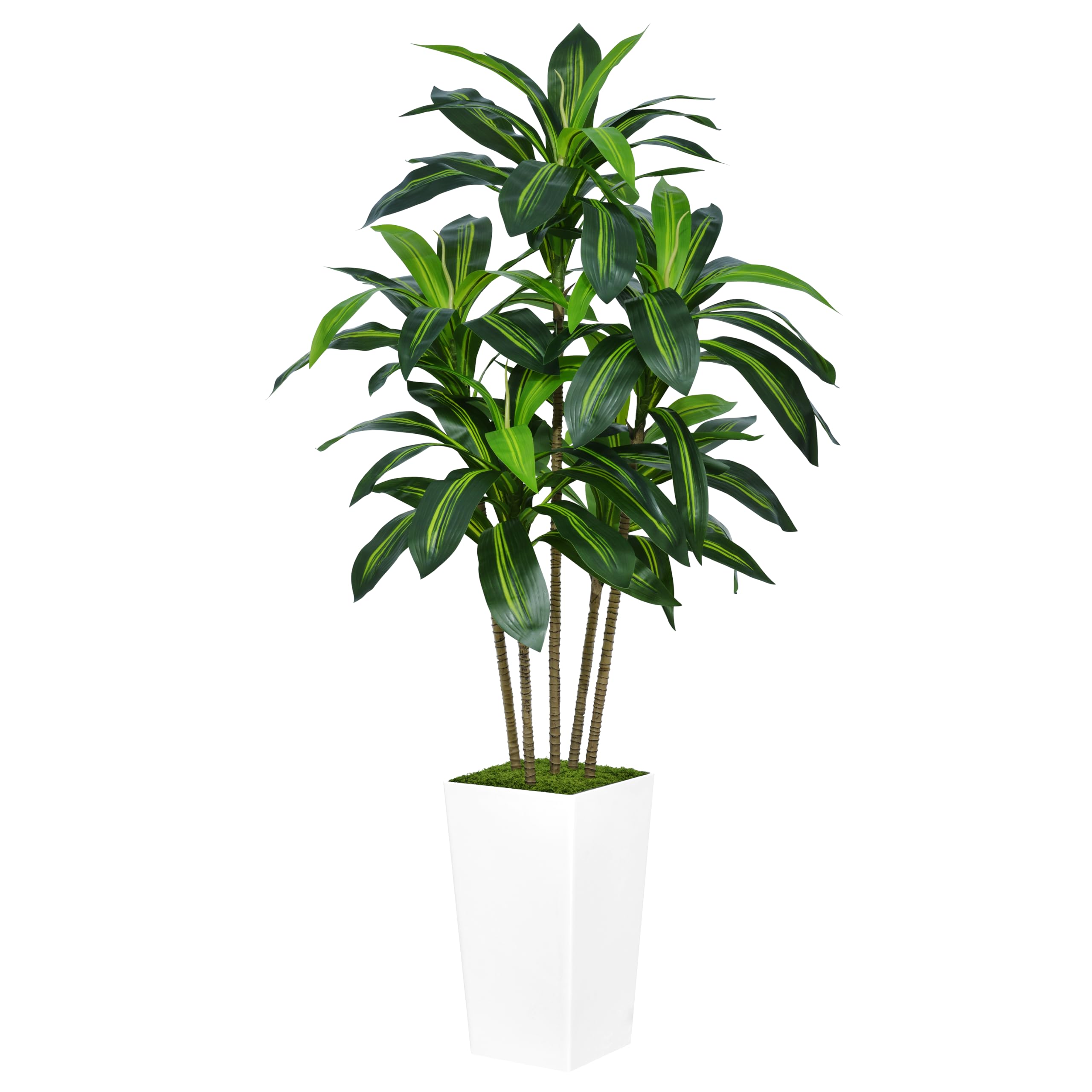 ASTIDY front view of 5ft dracaena tree showing lifelike foliage and modern planter
