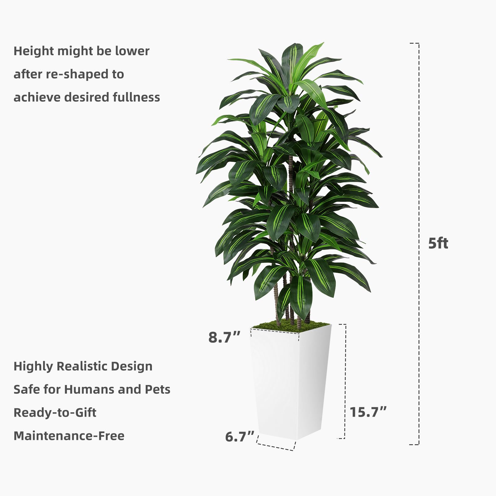 ASTIDY height comparison next to sofa demonstrating the 5ft scale and room presence