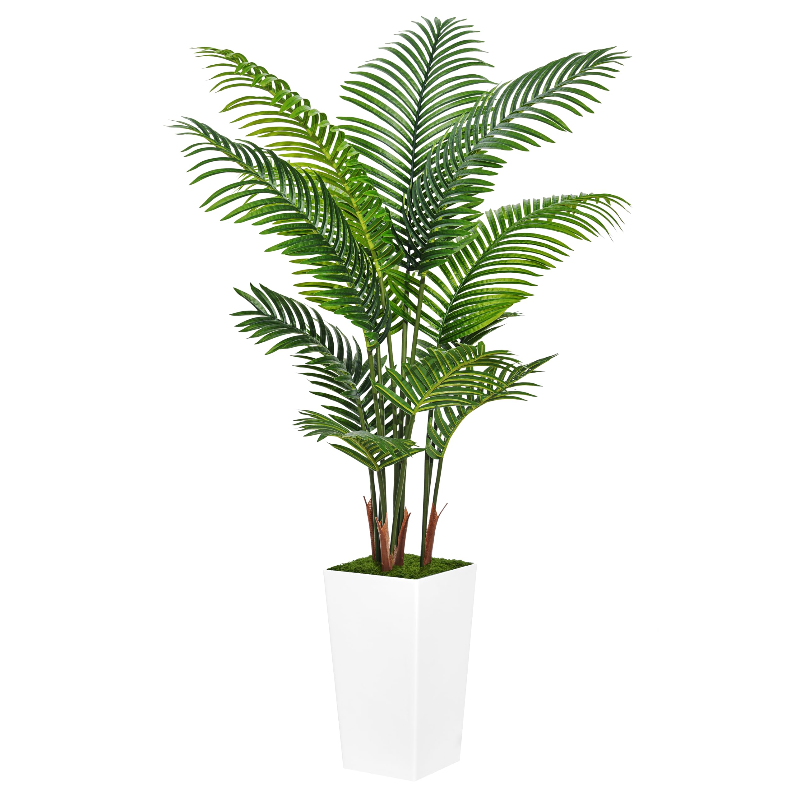 ASTIDY front view of full 5ft palm tree showing ready-to-display greenery benefit