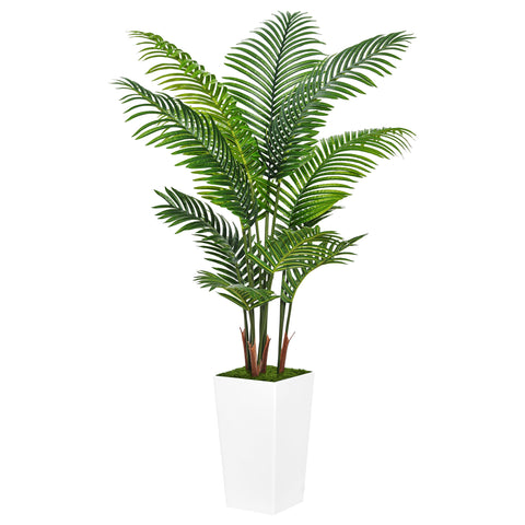 ASTIDY front view of full 5ft palm tree showing ready-to-display greenery benefit