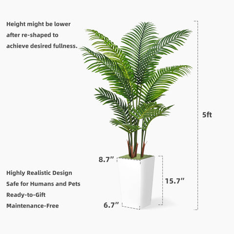 ASTIDY palm beside sofa for scale to help visualize size and fit benefit