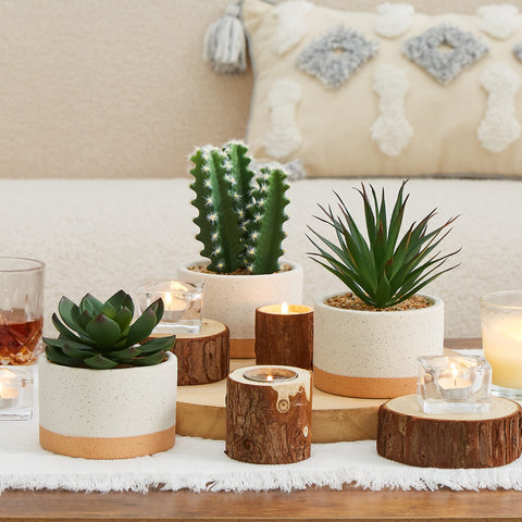 ASTRIDIA styled as a table centerpiece offering no-fuss decor for gatherings and events