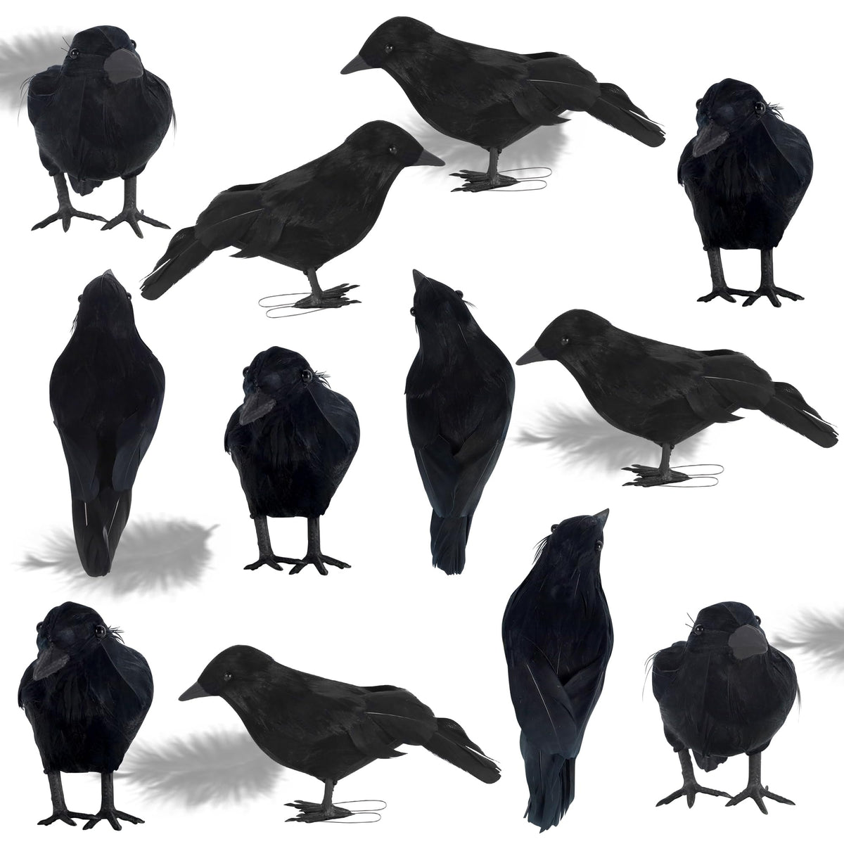 ATDAWN front view of twelve black feathered crows showing packaging and assortment benefit