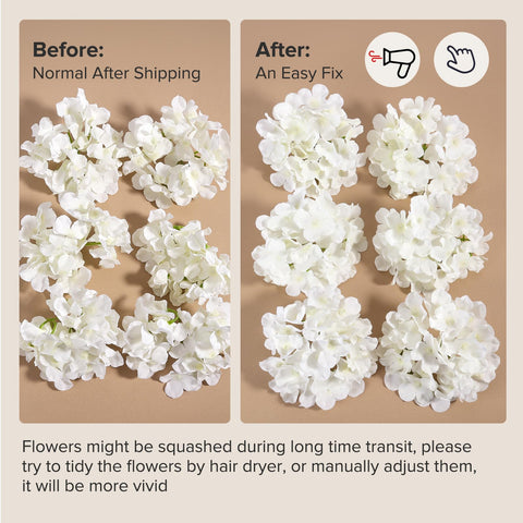 Auihiay hydrangea transport packaging shows careful shipment protection benefit