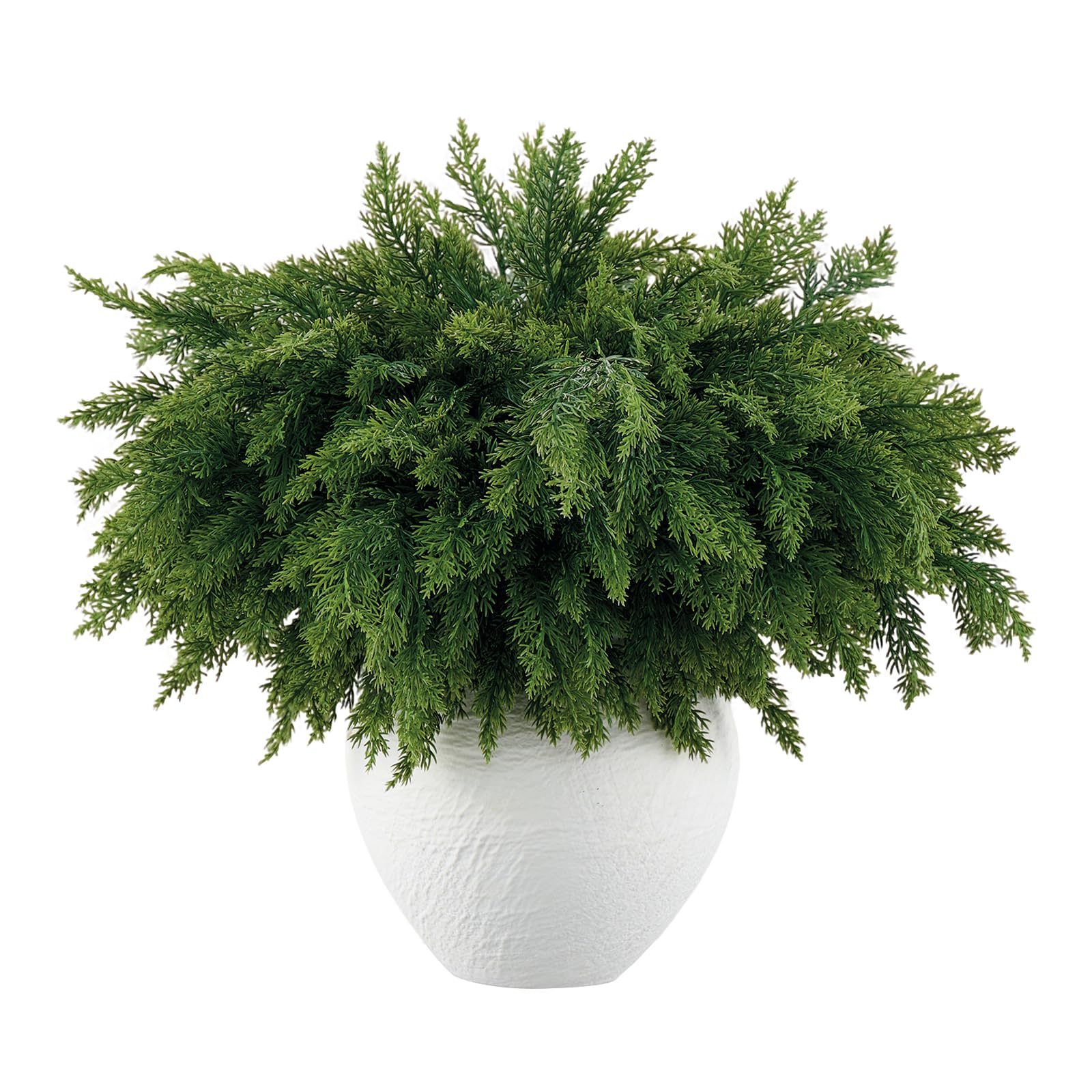 Aurdox front packaging showing 16 realistic Norfolk pine stems and benefits