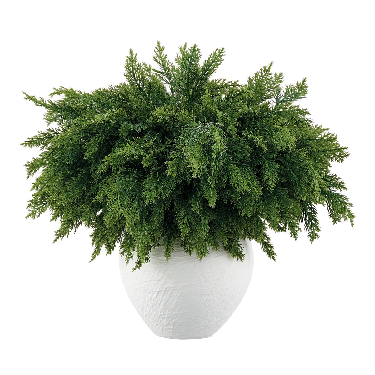 Aurdox front packaging showing 16 realistic Norfolk pine stems and benefits