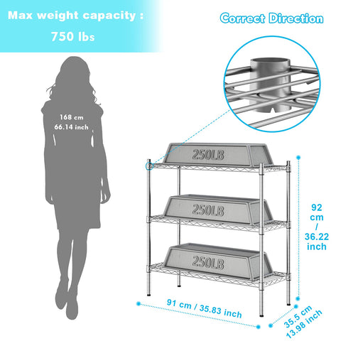 Auslar adjustable shelf heights demonstrated for flexible storage benefit