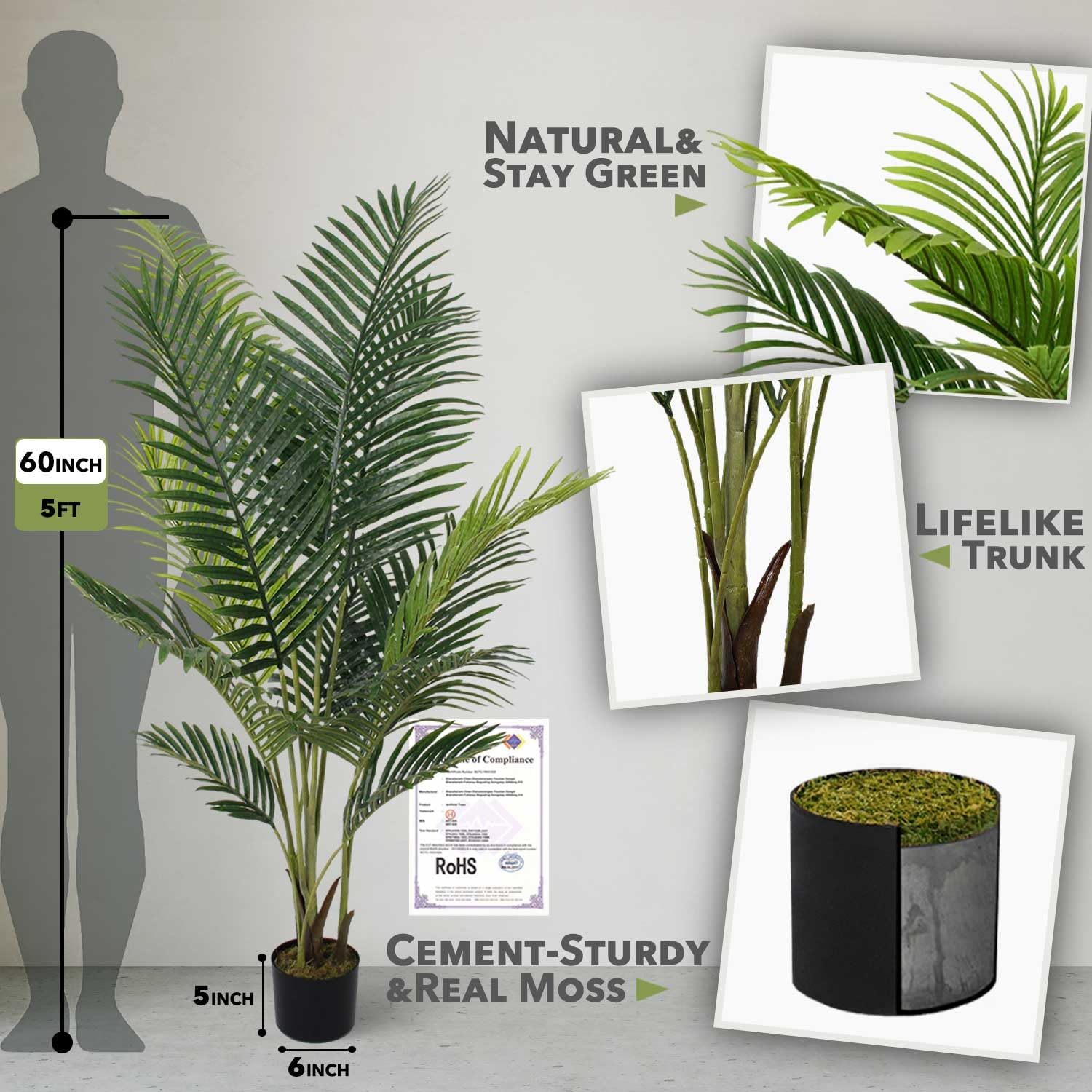 Aveyas single full-height palm illustrating natural silhouette and balance