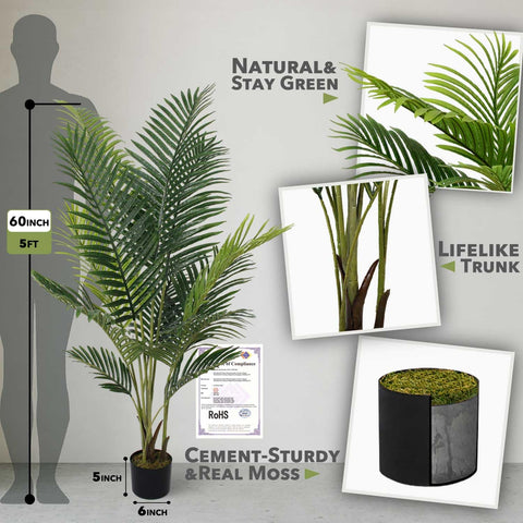 Aveyas single full-height palm illustrating natural silhouette and balance