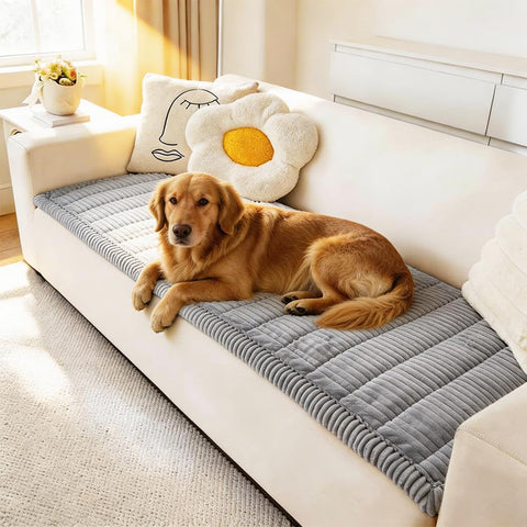 Awjcsv front view of sofa cover showing full protection and neat fit