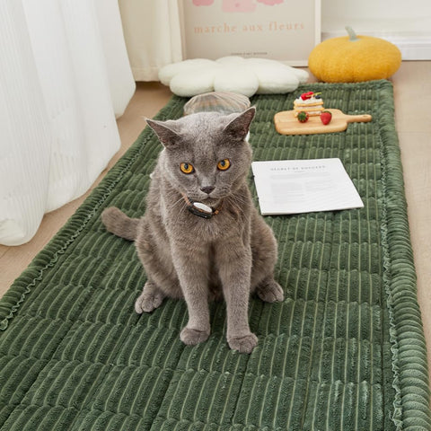 Awjcsv size comparison on couch showing coverage and scale