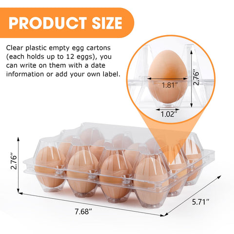 AYAYGD close-up of molded pillars and cups protecting eggs for durability