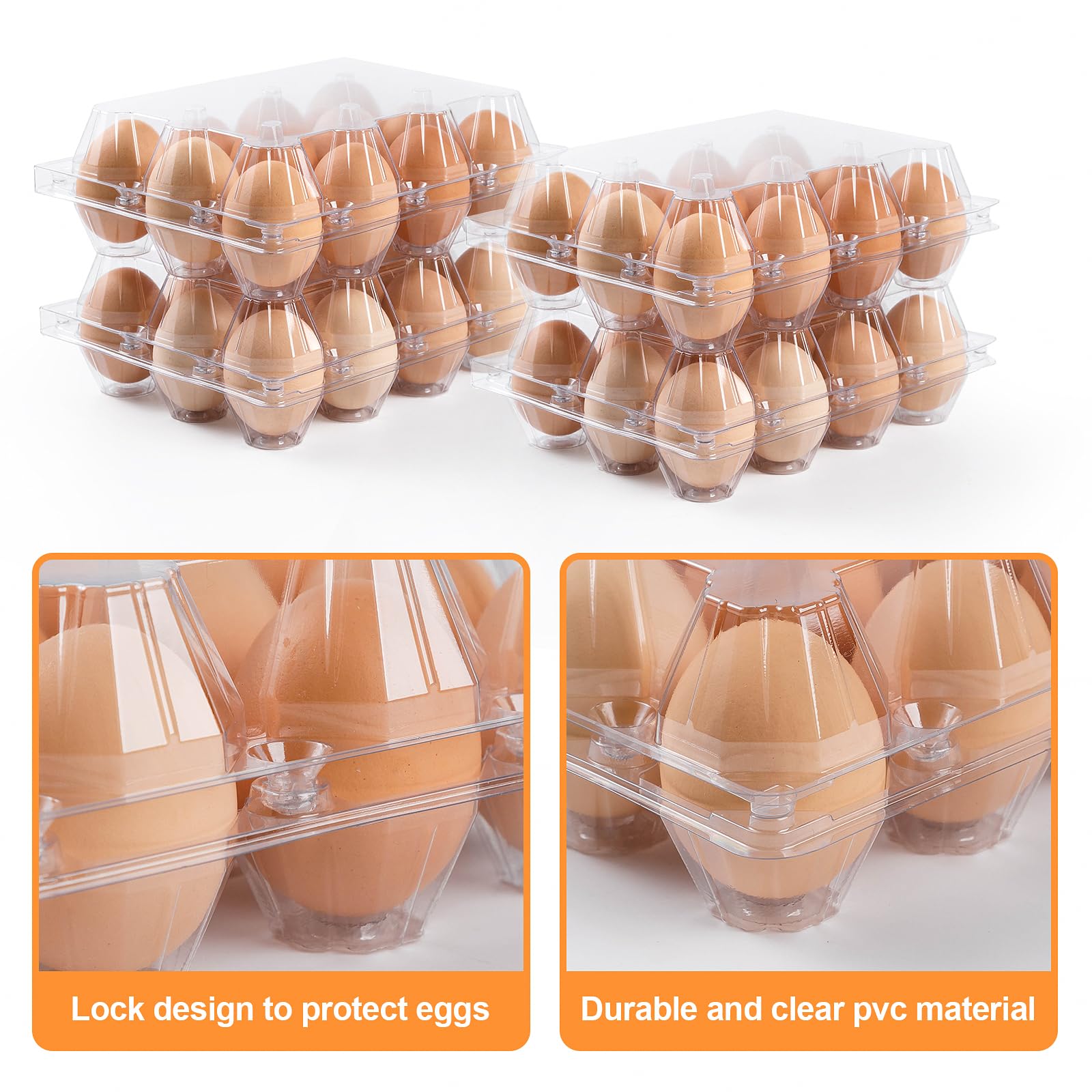 AYAYGD open carton with twelve eggs showing secure fit and visibility