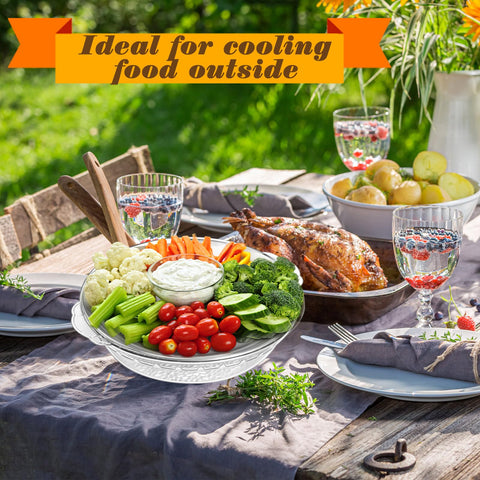 Baderke clear polystyrene lower ice tray detail showing ice reservoir for longer freshness