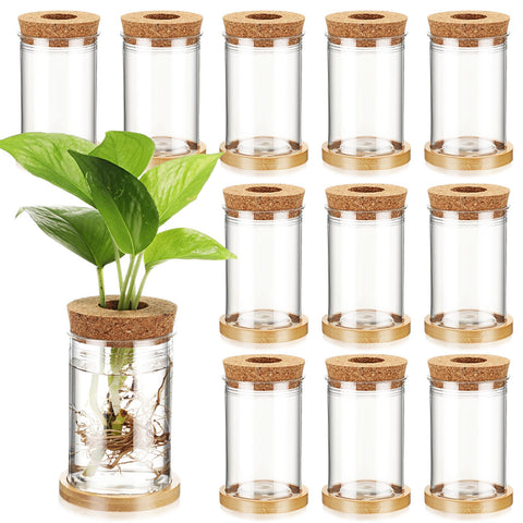 Baderke front view showing 12 vases and accessories for neat propagation