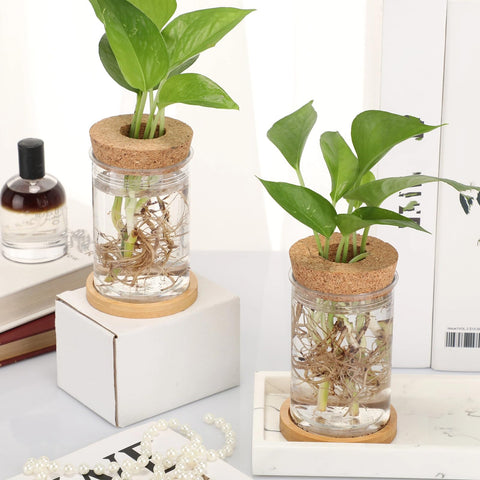 Baderke clustered vases on a windowsill adding greenery and light