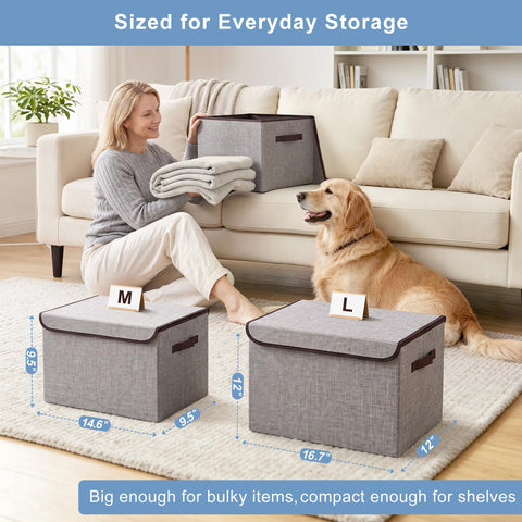 Bagnizer next to shoe showing actual 16.7x12x12 inch size for scale