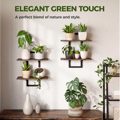 Bamworld shelves staged with potted plants showing space-saving benefit