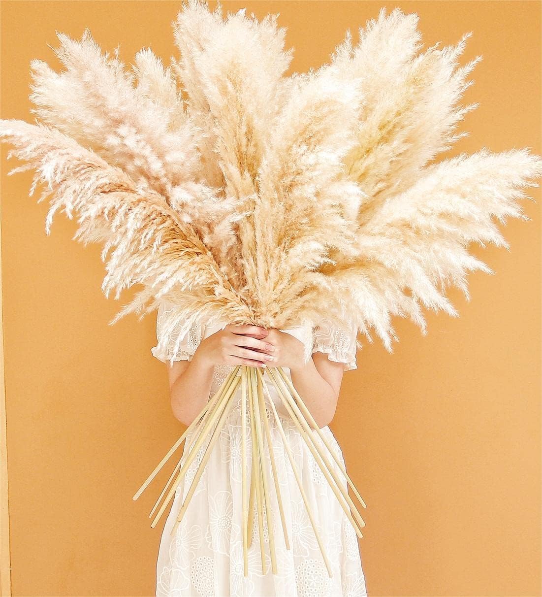 Bannifll close-up of plume texture highlighting soft natural fluff for visual warmth