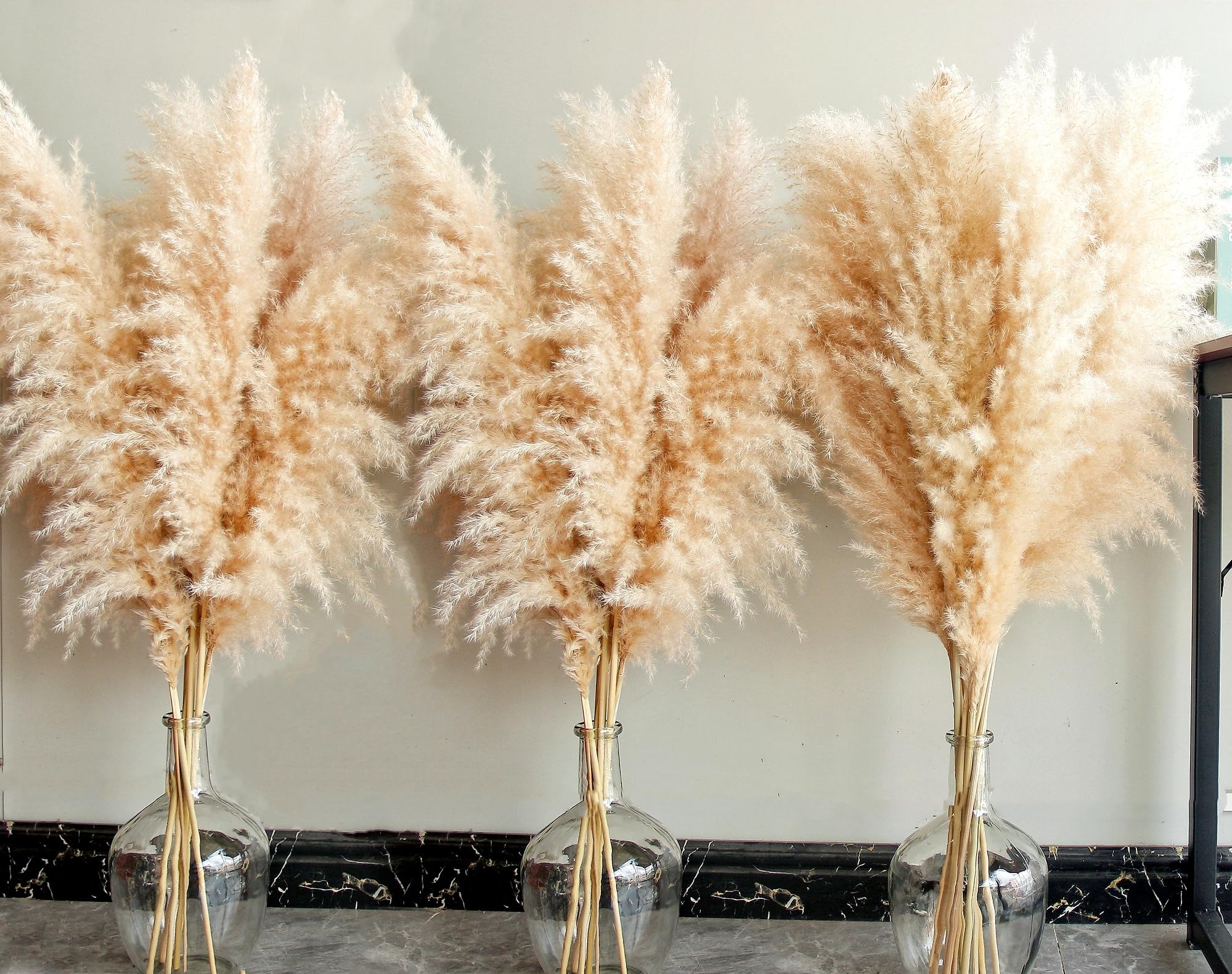 Bannifll front packaging showing full 16-stem pampas bouquet and easy styling benefit