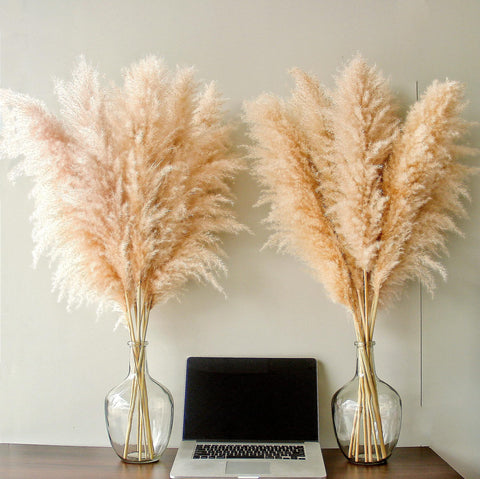 Bannifll stems arranged in a tall vase in living room adding height and cozy style