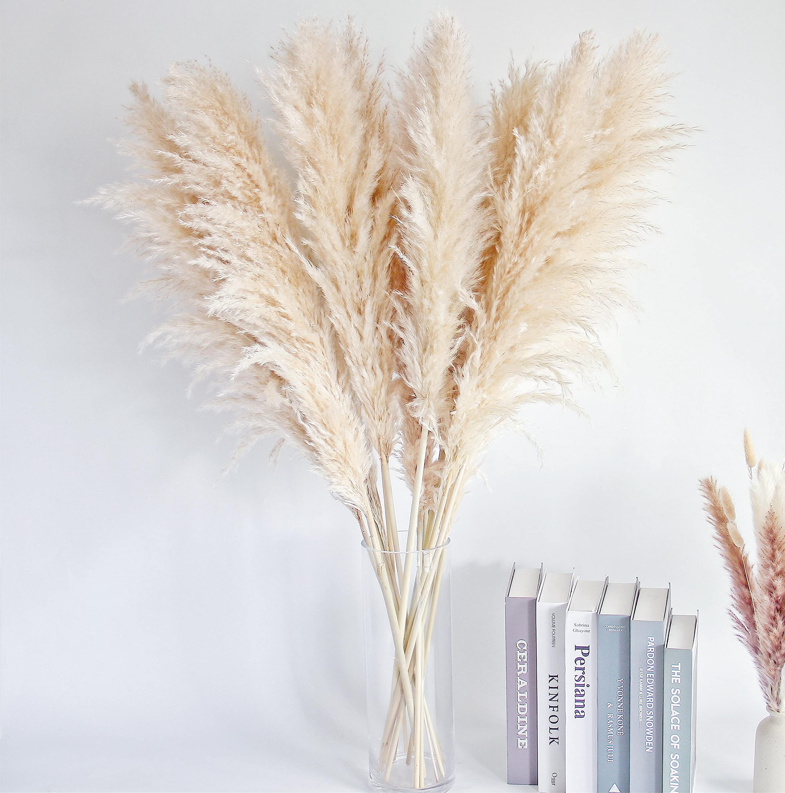 Bannifll pampas used on a wedding aisle delivering neutral, photogenic ceremony decor
