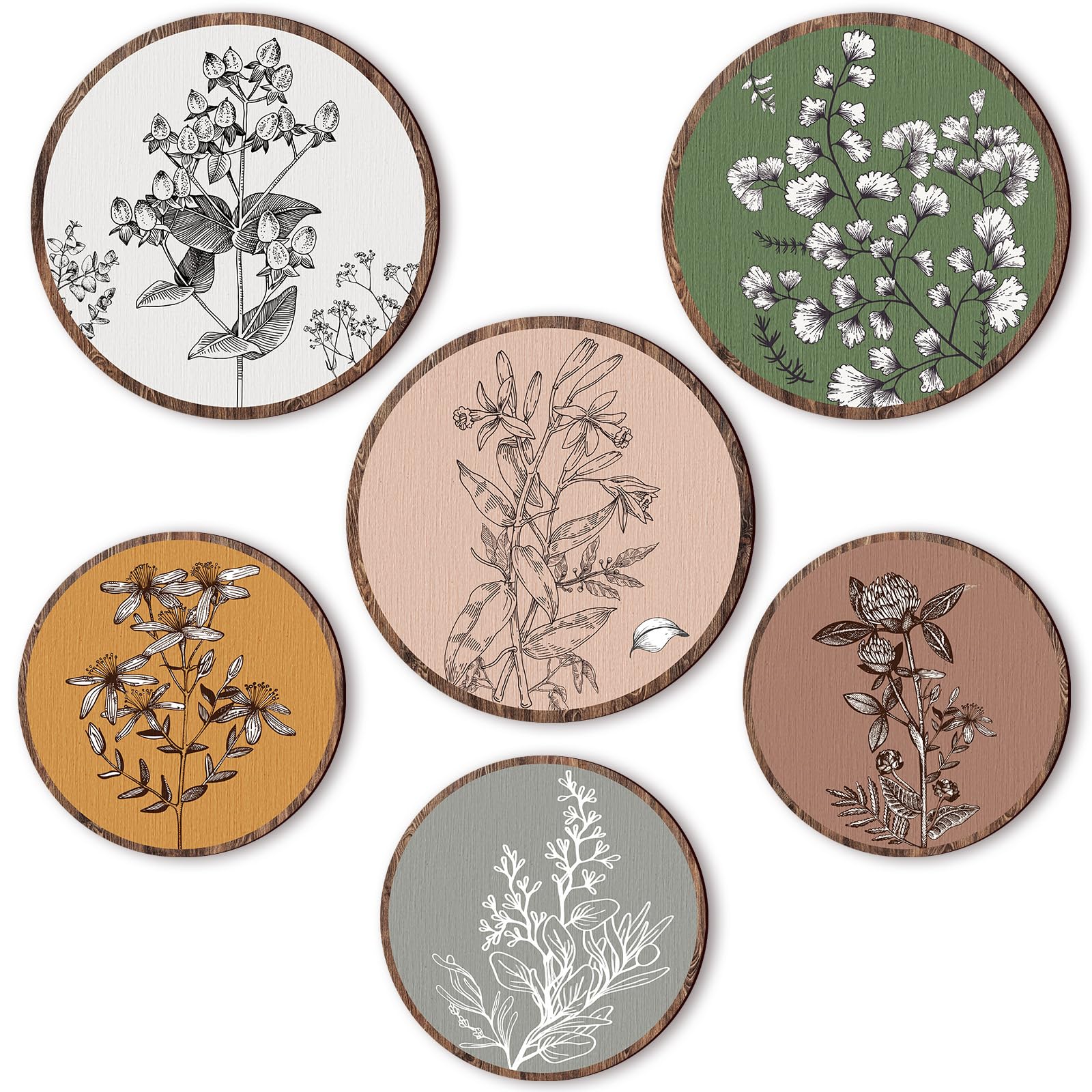 Barydat front display of six boho wooden botanical discs showcasing warm tones and harmony