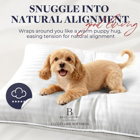 Basic Beyond pillows in a bedroom setting conveying hotel-quality style and relaxation